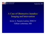 A Case of Obstructive Jaundice: Imaging and Intervention