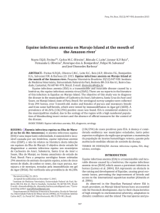 Equine infectious anemia on Marajo Island at the mouth of the