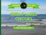 great lakes ciscoes Great lakes Ciscoes