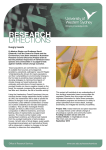 Hungry insects (PDF File 88.9 KB)
