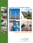 Investing to Curb Climate Change: A Guide for the Individual Investor