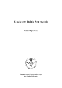 Studies on Baltic Sea mysids  Martin Ogonowski Department of Systems Ecology