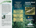Aquatic Weed Control: Aquatic Weed Problems State Requirements