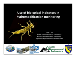Use of biological indicators in  hydromodification monitoring