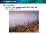 16.5 Conservation KEY CONCEPT Conservation methods can help protect and restore ecosystems.