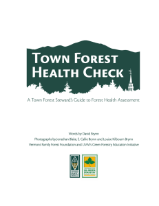 Town Forest Health