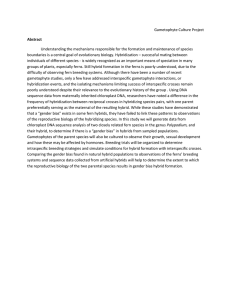 Gametophyte Culture Project Abstract