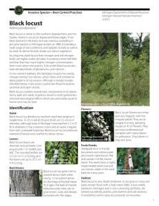 Black locust Invasive Species—Best Control Practices Robinia pseudoacacia