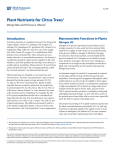 Plant Nutrients for Citrus Trees Macronutrient Functions in Plants Introduction