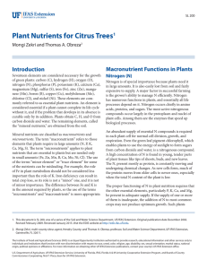 Plant Nutrients for Citrus Trees Macronutrient Functions in Plants Introduction