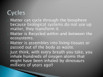 Matter can cycle through the biosphere matter, they transform it.