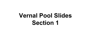 Vernal Pool Slides Section 1