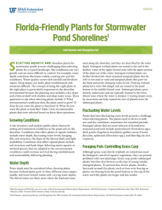 S Florida-Friendly Plants for Stormwater Pond Shorelines 1