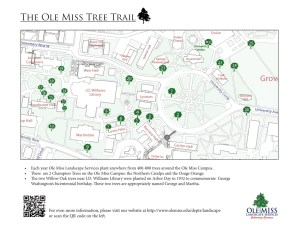 The Ole Miss Tree Trail