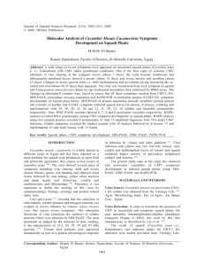 Cucumber Mosaic Cucumovirus Development on Squash Plants M.M.M. El-Shamy