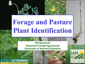 Forage and Pasture Plant Identification Sid Bosworth Extension Forage Agronomist