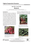 Rhubarb Specialty Crop Profile: