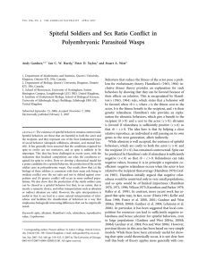 Spiteful soldiers and sex ratio conflict in polyembryonic parasitoid wasps