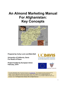 Almond Marketing Manual