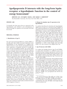 Apolipoprotein D interacts with the long-form leptin receptor: a hypothalamic function in the control of energy homeostasis