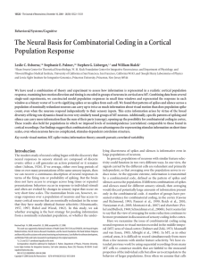 The neural basis for combinatorial coding in a cortical population response