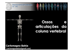 Ossos e articulações da coluna vertebral