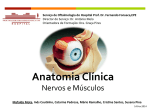 Anatomia Clínica - Repositório do Hospital Prof. Doutor Fernando