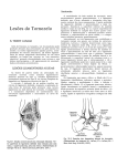 Lesões do Tornozelo - Anatomia Medicina UNESA