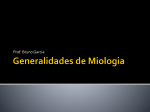 Generalidades de Miologia
