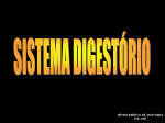 SISTEMA DIGES Farmácia 2015 parte 1 vers A