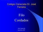 Colégio Cenecista Dr. José Ferreira