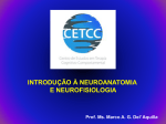 NEUROFISIOLOGIA AULAS 1e2