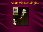 aula de Anatomia Radiologica I