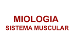 Miologia