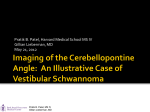 Imaging of the Cerebellopontine Angle: An Illustrative Case of Vestibular Schwannoma
