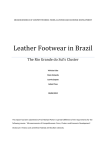 Leather Footwear in Brazil The Rio Grande do Sul’s Cluster