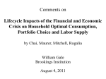 Comments on Lifecycle Impacts of the Financial and Economic