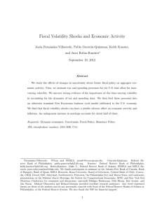 Fiscal Volatility Shocks and Economic Activity