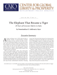 A The Elephant That Became a Tiger Executive Summary