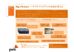 ～サステナビリティの未来を考える Big Picture www.pwc.com/jp