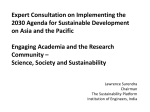 Expert Consultation on Implementing the 2030 Agenda for Sustainable Development