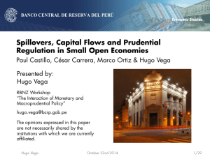 Spillovers, Capital Flows and Prudential Regulation in Small Open Economies Presented by: