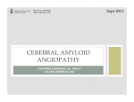 Cerebral Amyloid Angiopathy