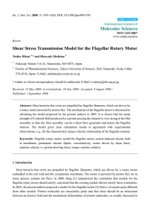Shear Stress Transmission Model for the Flagellar Rotary Motor