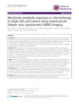 Monitoring metabolic responses to chemotherapy initiator mass spectrometry (NIMS) imaging