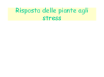 Risposta delle piante agli stress