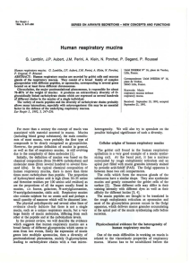 Human  respiratory  mucins Human  respiratory Lamblin,  J.P.