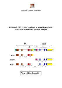 Noureddine Loukili  Studies on UEV, a new regulator of polyubiquitination: