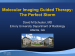 Molecular Imaging Guided Therapy: The Perfect Storm David M Schuster, MD