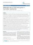 Differential roles of TGIF family genes in mammalian reproduction Open Access